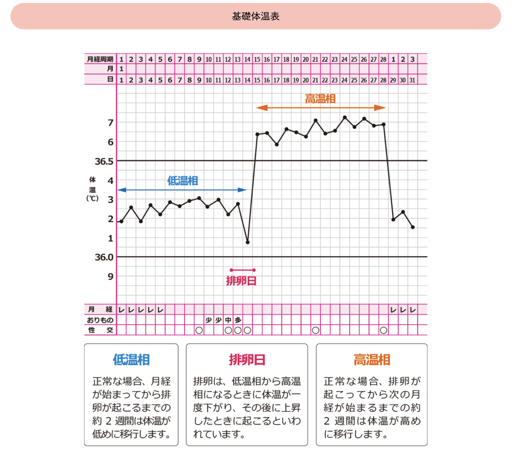 基礎体温つけていますか（ガタガタタイプ編）